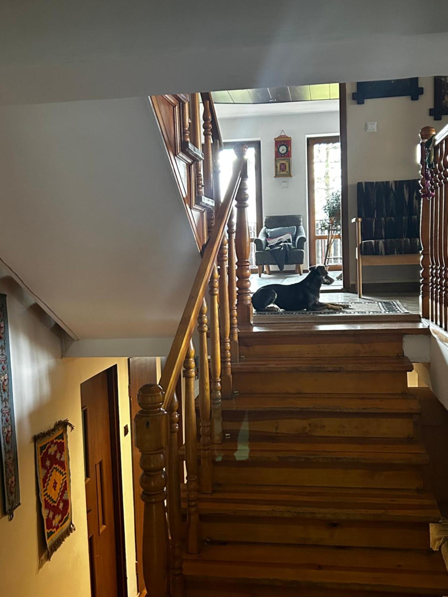 Willa Karolinka Stroza - Pet Friendly Мысленице Экстерьер фото